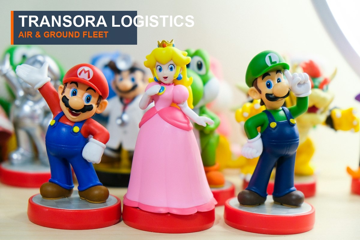 Transora Global Air and Express Fleet